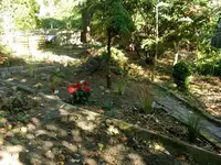 5GräserbeetNachmittag1.webp