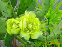 sept02 003.webp
