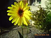 sept02 004.webp