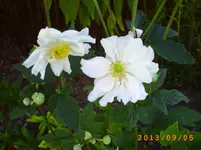 sept02 009.webp
