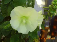 sept02 021.webp