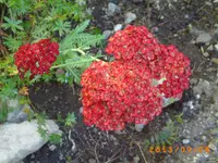 sept02 032.webp