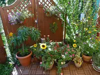 Garten6.webp