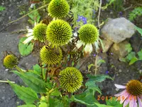 sept02 025.webp