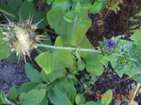 sept02 035.webp