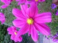 P1090405.webp