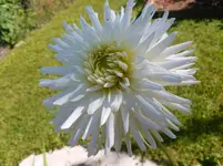 P1090420.webp