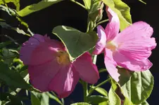 _DSC3281.webp