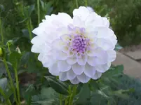 100_5647.webp