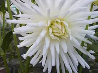 100_5650.webp