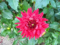 100_5649.webp