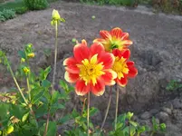 100_5654.webp