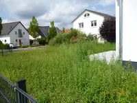 P1010339.webp