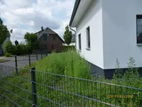 P1010338.webp