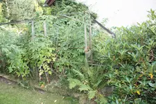IMG_9779.webp