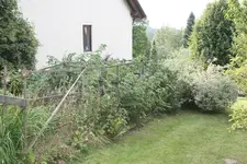 IMG_9800.webp