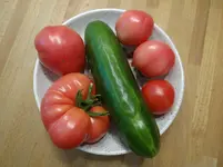 Ernte1.webp