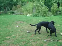 kämpfchen (6).webp