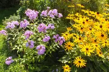 2013_0906Sommer0024.webp