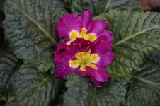 _DSC3314.webp