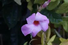 _DSC3320.webp