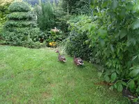 T_Wildenten_Paar_2010_mr.ditschy.webp