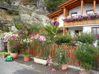 SAM_1549.webp