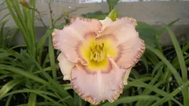 080920131871.webp