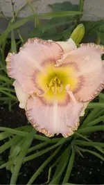 080920131872.webp