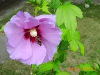 sept03 011.webp
