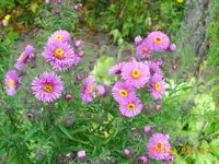 sept03 015.webp