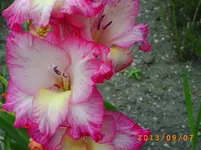 sept03 024.webp