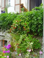 sept03 028.webp