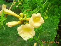 sept03 033.webp