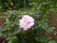 P1090580.webp