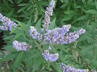012.webp