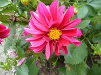 SAM_1592.webp