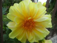 SAM_1590.webp