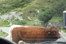 2013_0902Sommer0193.webp