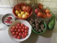 CIMG0300.webp