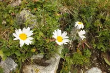 2013_0902Sommer0154.webp