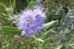 2013_0906Sommer0031.jpg