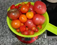 DSC_8828.2.webp