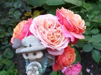 Mary Ann (3).webp