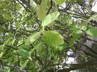 Foto0045.webp