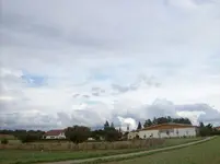100_5685.webp