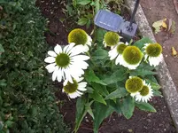 100_5671.webp