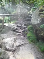 SAM_1558.webp