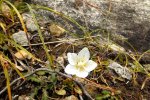 2013_0902Sommer0191 blü.jpg