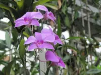 177.webp